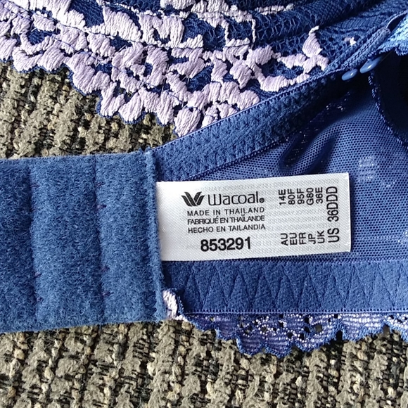 Embrace Lace Contour Wacoal Bra - Picture 6 of 6